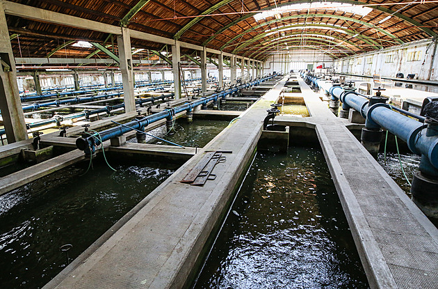 Historicky cenná vodárna se dočká obnovy, město do ní investuje 180 milionů