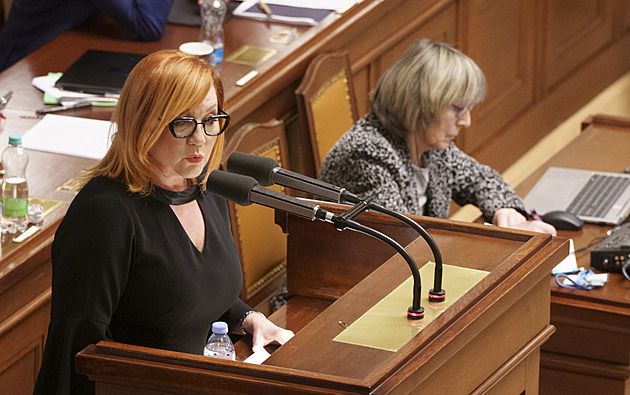 Poslanci budou schvalovat zastavení růstu sociálních odvodů u OSVČ