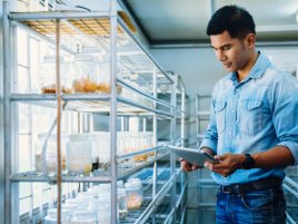 Počítač vyrobený z hub. Vědci ukazují, že budoucnost čipů může růst v lese