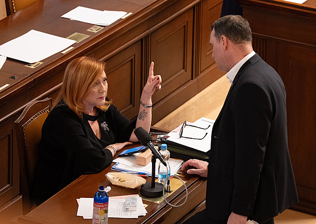 Změna zákona zjednoduší odpisy, menší spolky už nebudou muset vést účetnictví