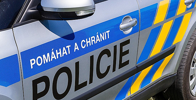 Policie už zná násilníky z bitky v lesoparku, vypátrala je za čtyři hodiny