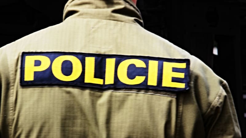 Policie rozbila rozsáhlou síť okrádající pedofily. Dětské porno jen maskovalo skutečný účel