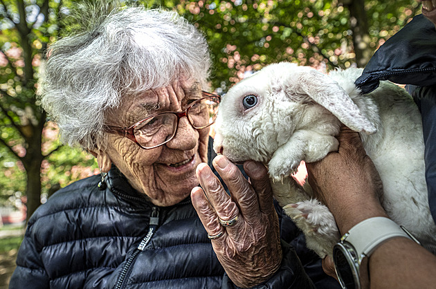 OBRAZEM: Pohlazení, které léčí. Beránek i hedvábnička vrací seniorům radost
