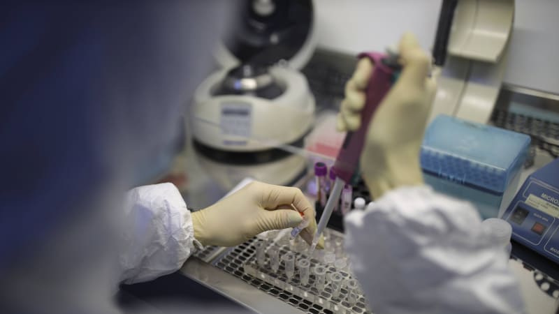 První případ viru Shamonda v Česku. Ochrana proti nákaze není, platí mimořádná opatření